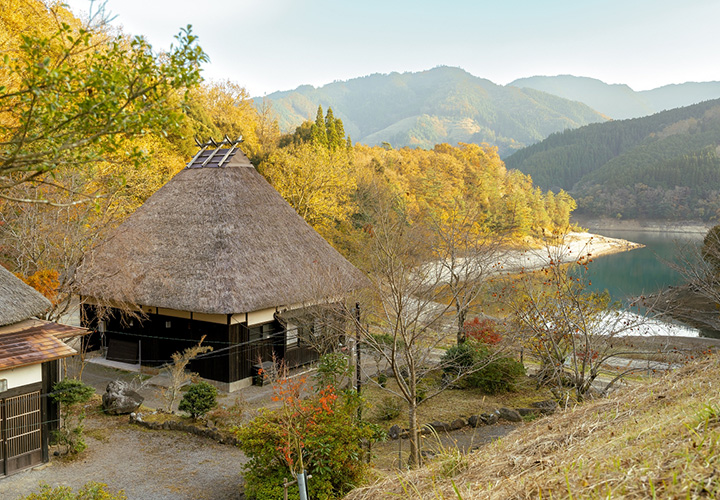 歐拉。旅行不孤單